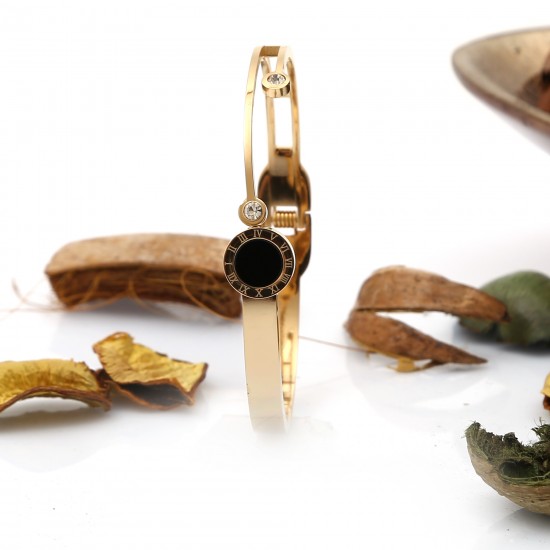 Women's Steel Bracelet 6860 Women's Steel Bracelet 6860
