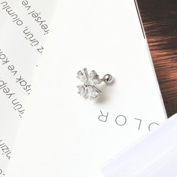 Earring Piercing 7493