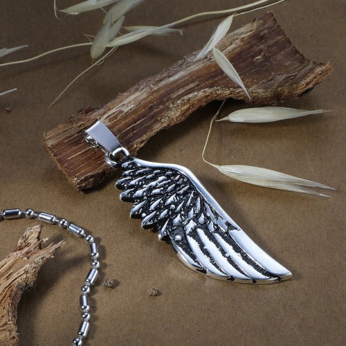 Steel Pendant Models 5350