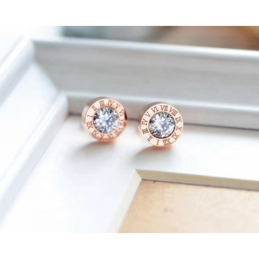 Women's Earrings 6613