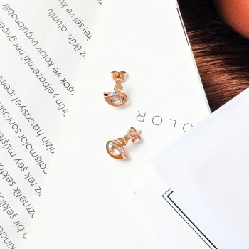 Women's Earrings 6638