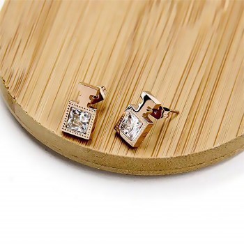 Women's Earrings 6648