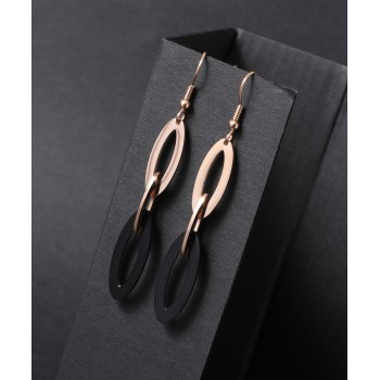Women's Earrings 6710