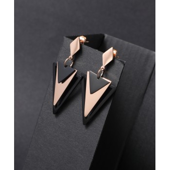 Women's Earrings 6712