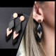 Women's Earrings 6714