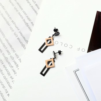 Women's Earrings 6727