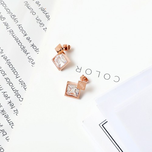 Women's Earrings 6730