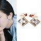 Women's Earrings 6730