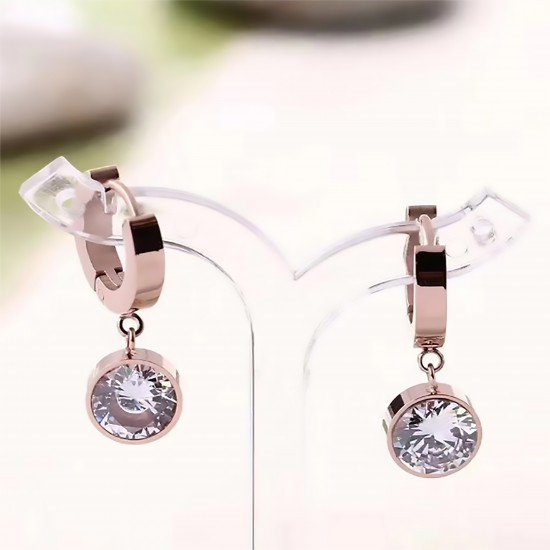 Women's Earrings 6732