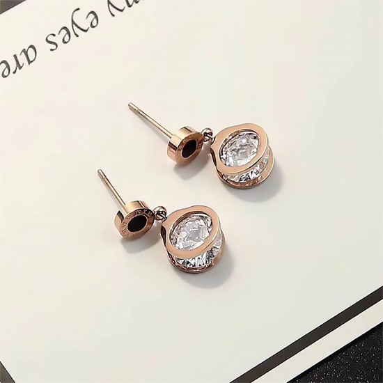 Women's Earrings 6736