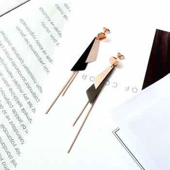 Women's Earrings 6790