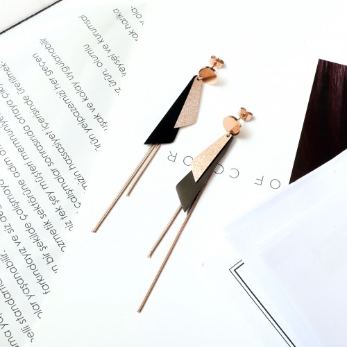 Women's Earrings 6790