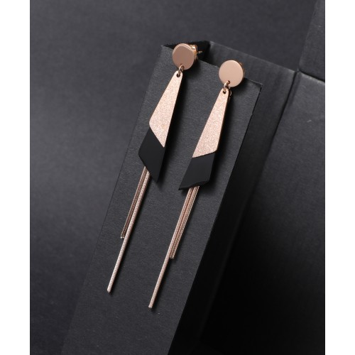 Women's Earrings 6790