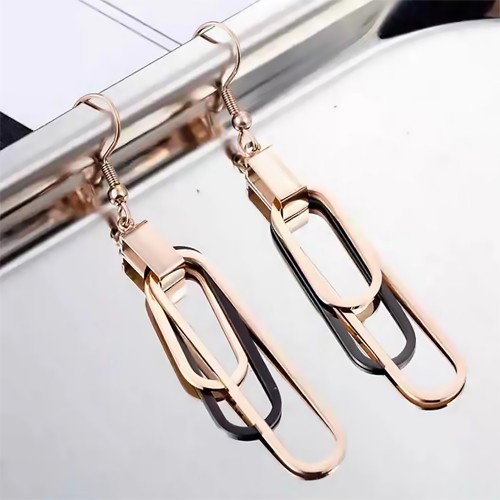 Women's Earrings 6793