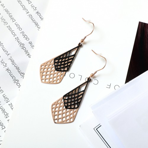 Women's Earrings 6809