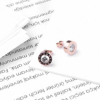 Women's Earrings 7697