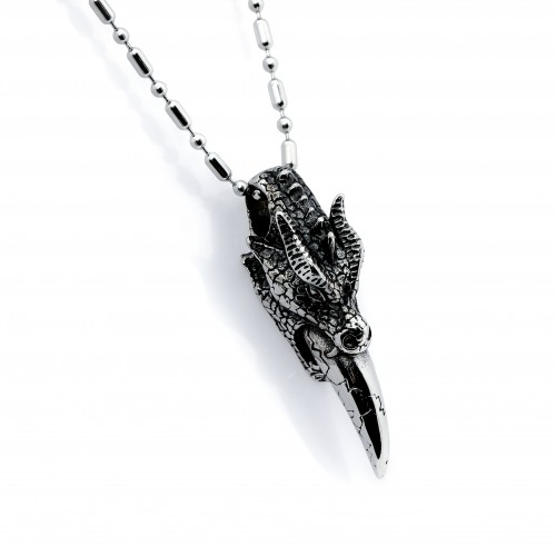 Tianlong Ejder Çelik Kolye Ucu